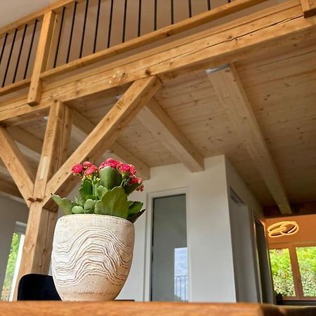 Zur Donauinsel Appartement Bad Abbach Buitenkant foto