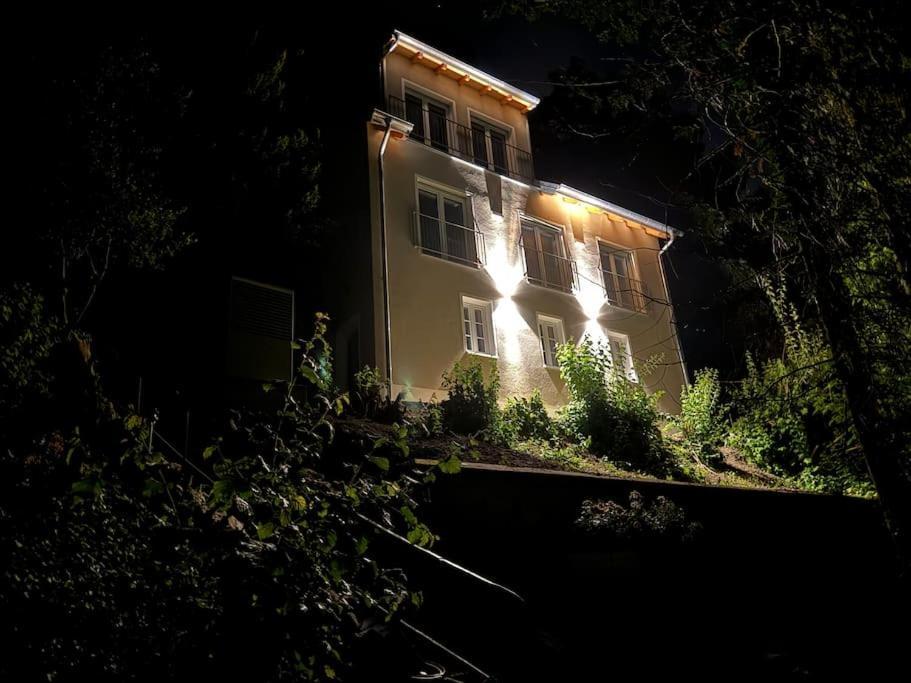 Zur Donauinsel Appartement Bad Abbach Buitenkant foto
