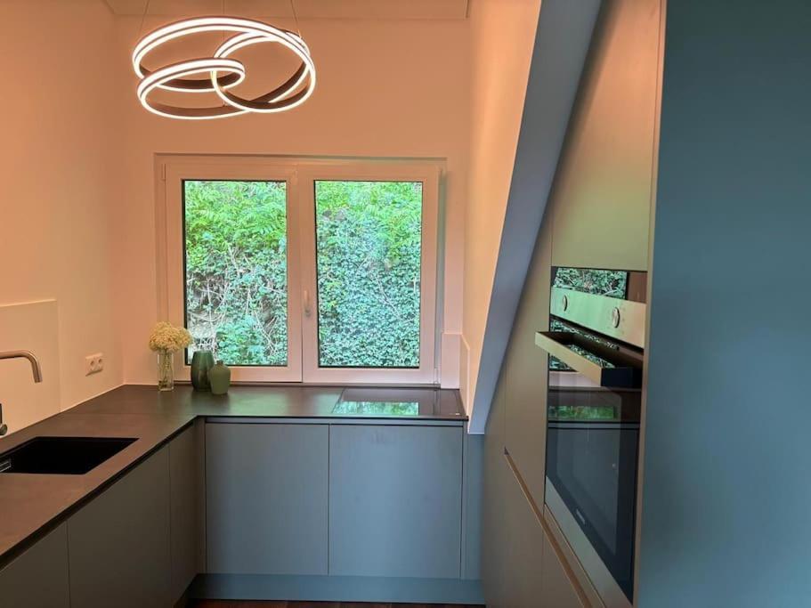 Zur Donauinsel Appartement Bad Abbach Buitenkant foto